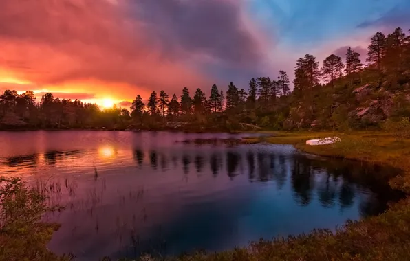 Sunset, nature, lake