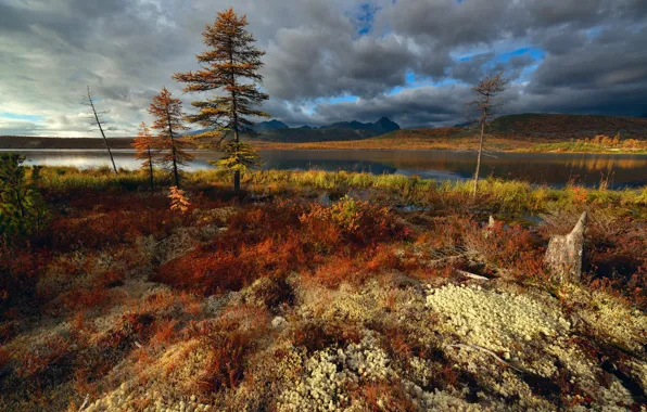 Autumn, the sky, clouds, trees, nature, river, shore, vegetation