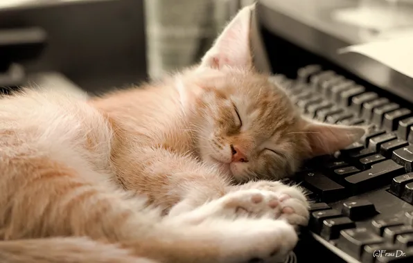 Background, sleep, keyboard