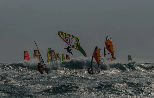 Picture sea, wave, the wind, Board, sail, Windsurfing, regatta
