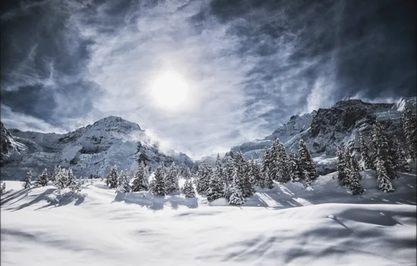 Winter, forest, the sky, snow, mountains, Alps