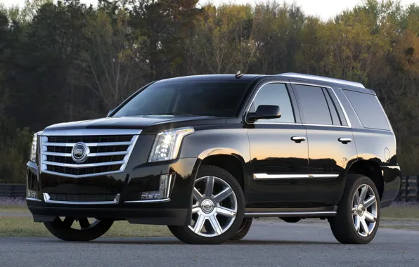Cadillac, Escalade, '2014