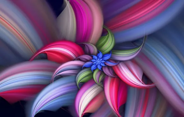 Flower, line, paint, spiral, petals, the volume