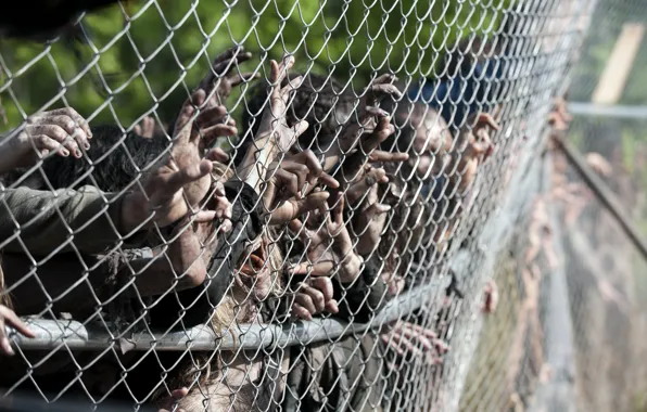 Picture zombies, hands, the walking dead, season 4, wiring