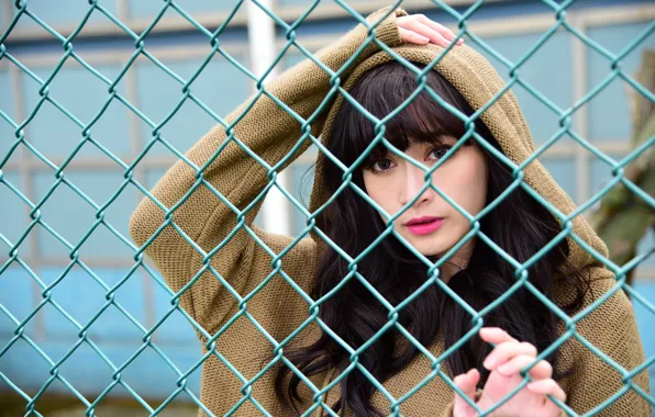Look, face, the fence, grille, Asian