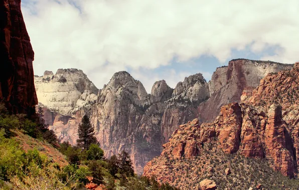 Picture the sky, trees, mountains, Zion National Park, Utah, Zion national Park