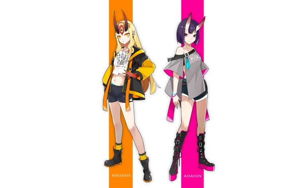 Girls, assassin, Fate / Grand Order, The destiny of a great campaign