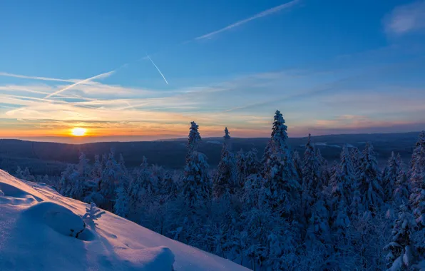 Winter, forest, snow, sunset, Germany, ate, Germany, Lower Saxony