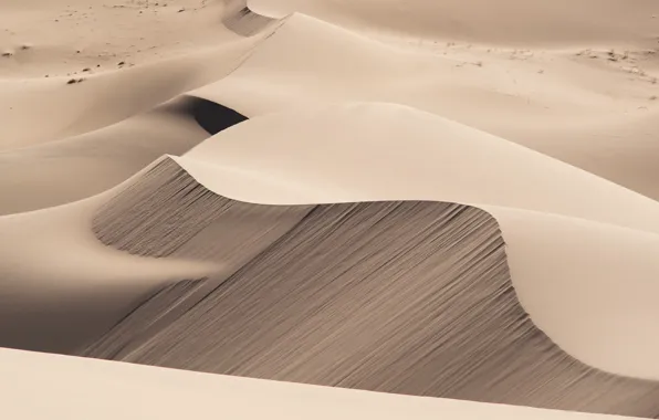 Sand, nature, desert, dunes