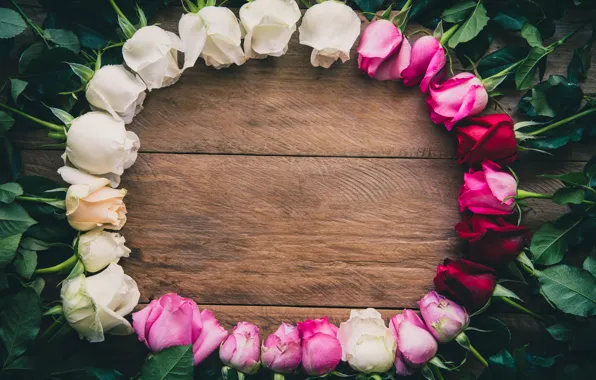 Flowers, roses, frame, white, wood, pink, flowers, romantic