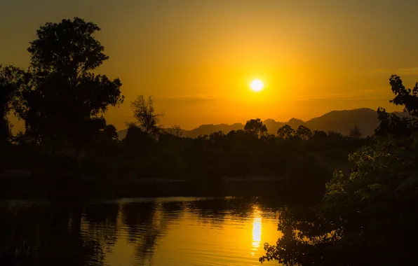 The sun, sunset, nature, pond, lull