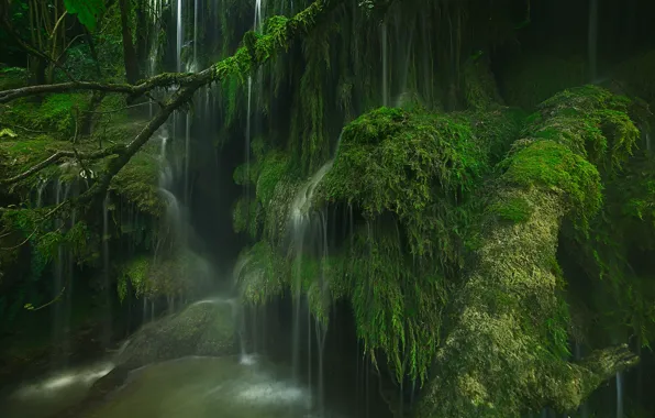 France, waterfall, moss