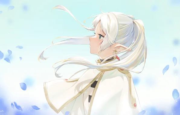 Girl, petals, elf, Sousou no Frieren, Freeze