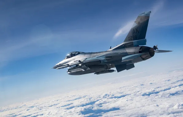 Fighter, USAF, F-16 Fighting Falcon, Obloka, Aggressor Squadron