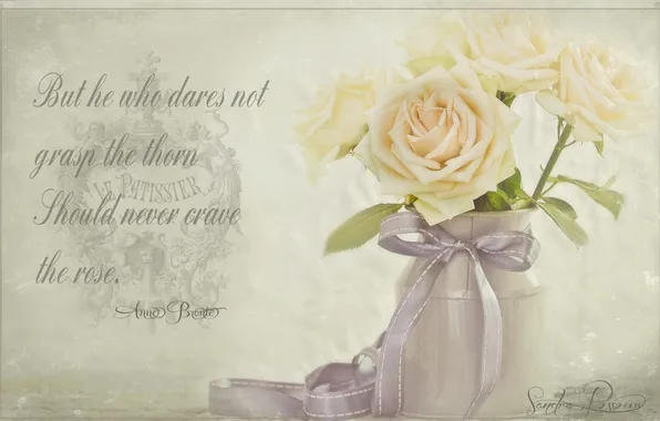 Rose, roses, blur, bow