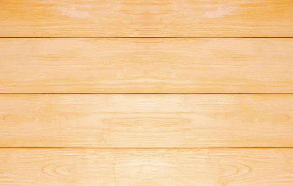 Tree, structure, Board