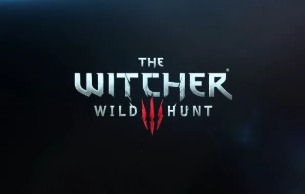 The Witcher, rpg, the wild hunt, wild hunt, the witcher 3, cd Projekt red