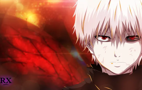 Tokyo Ghoul, Tokyo ghoul, The Kaneko Ken