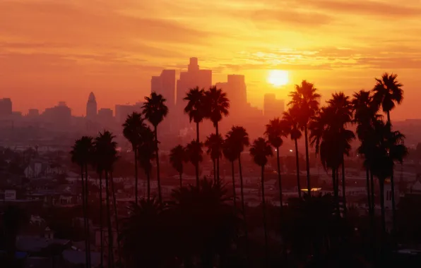 City, the city, USA, Los Angeles, California