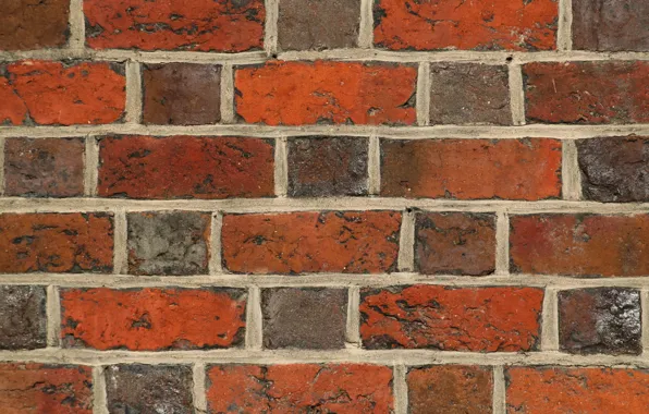 Picture colorful, red, rustic, bricks, gray, dark red, wall of bricks