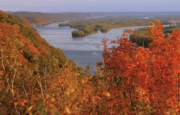 Picture autumn, forest, the sky, trees, bridge, nature, USA, the Mississippi river