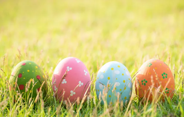 Grass, eggs, spring, colorful, Easter, grass, happy, spring