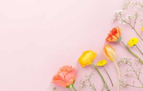 Flowers, flowers, beautiful, spring, composition, tender, floral