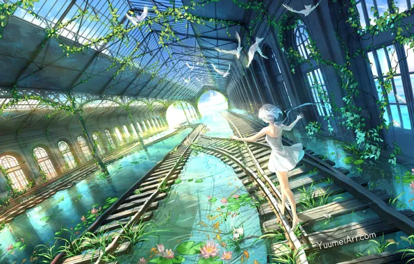 Water, Girl, Birds, Windows, Railroad, Beauty, Rails, Arch