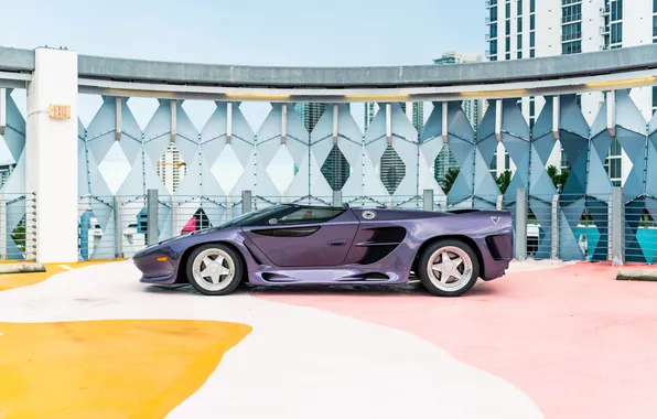 Roadster, Vector, supercar, supercar, side view, Vector, 1993, Vector Motors Corporation