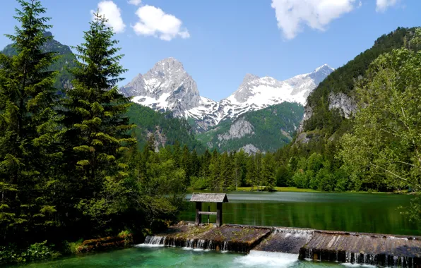 Forest, trees, mountains, lake, river, Austria, Alps, Austria