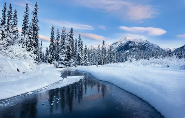 Winter, forest, snow, mountains, river, the snow