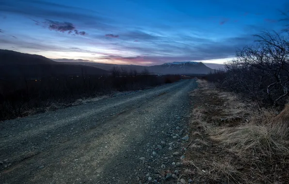 Road, landscape, the evening