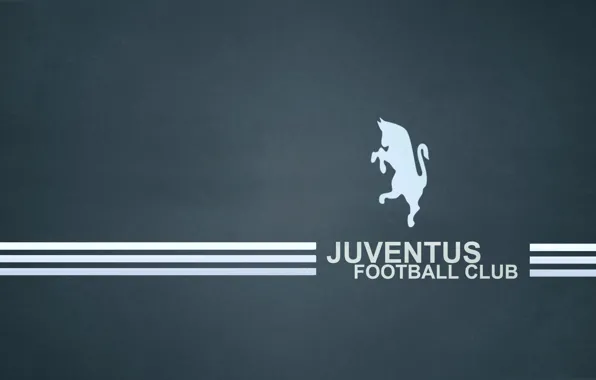 Zebra, Black and white, juventus_football_club, dark blue background, Bianconer