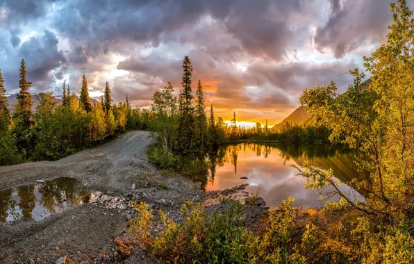 Picture road, trees, sunset, mountains, lake, puddle, Russia, Khibiny