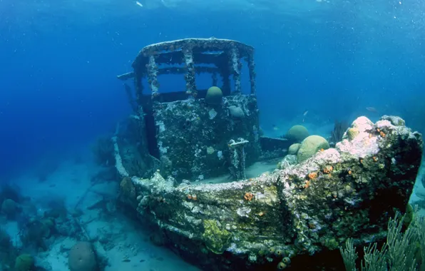 Picture sea, the ocean, boat, the bottom