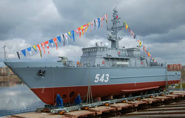 Minesweeper, launching, Peter Ilyichev
