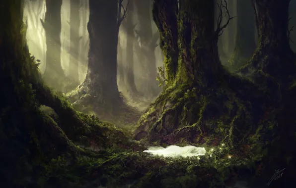 Forest, trees, being, The Sleeping Green, The Sleeping