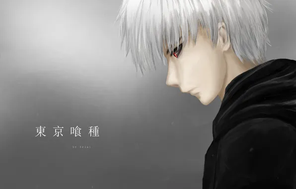 Wallpaper guy, Tokyo Ghoul, Tokyo Ghoul, The Kaneko Ken for mobile and  desktop, section сёнэн, resolution 1920x1080 - download