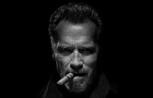 Picture look, cigar, Arnold Schwarzenegger