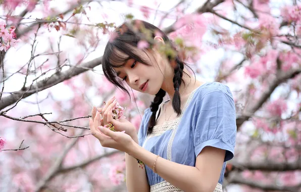 Girl, spring, Asian