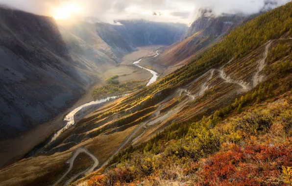 Autumn, forest, the sun, light, mountains, river, hills, vegetation