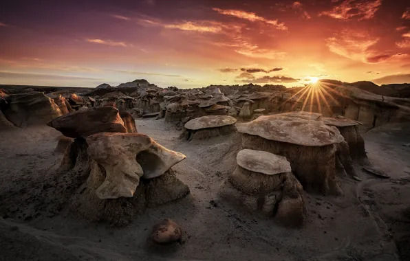 The sun, sunset, stones, rocks, desert, education