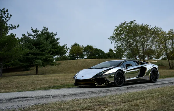 Lamborghini, Black, Aventador, Hrome