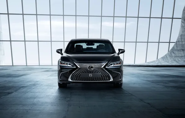 Lexus, sedan, front view, 2018, ES 250