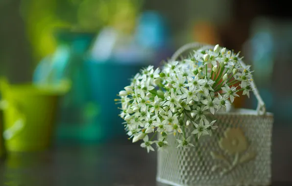 Bow, flowers, vase