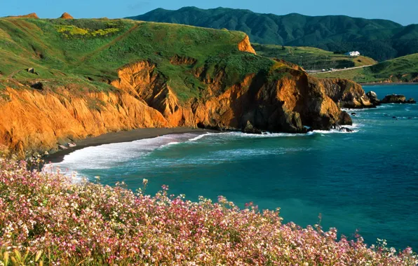 Picture sea, the sky, flowers, mountains