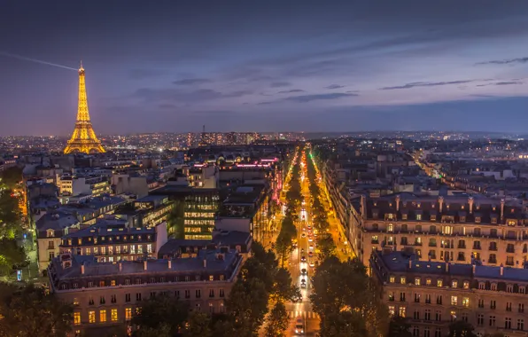 Picture night, the city, lights, France, Paris, tower, home, Eiffel