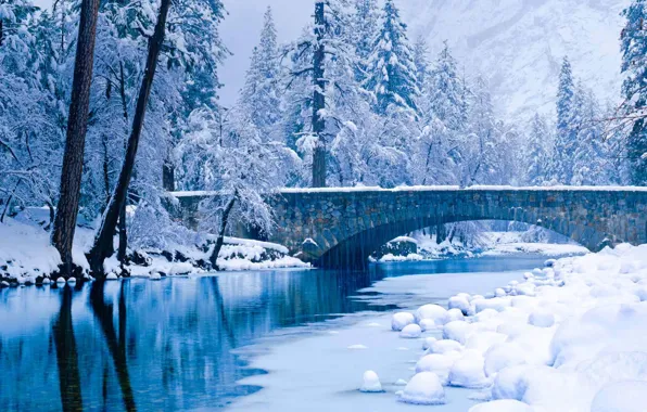 Winter, snow, trees, CA, USA, Yosemite National Park, the Merced river, Yosemite national Park