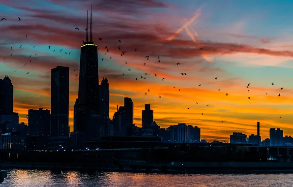 Picture the sky, sunset, building, skyscrapers, USA, America, Chicago, Chicago