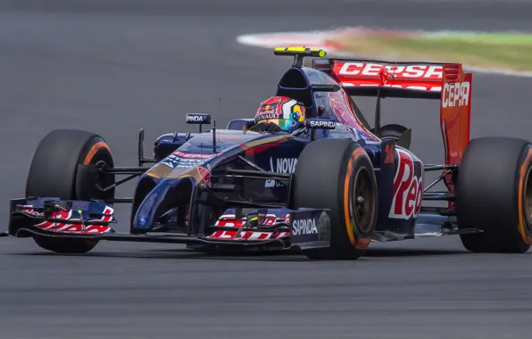 Daniil Kvyat, Toro Rosso-Renault